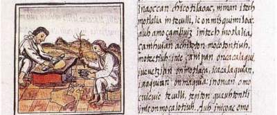 Florentine Codex (from book 9)