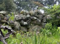 stone wall in Mexico